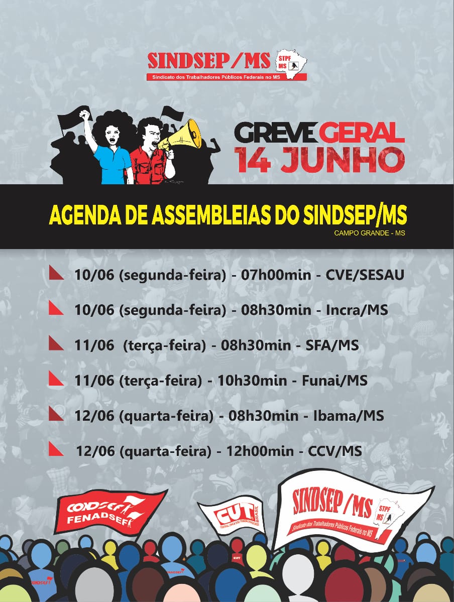 SindsepMS
